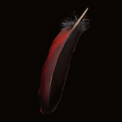 HAIR Re-Edition 2025